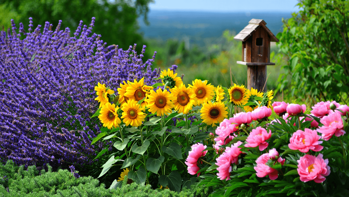 Plantes d’extérieur : rendez votre jardin encore plus écologique