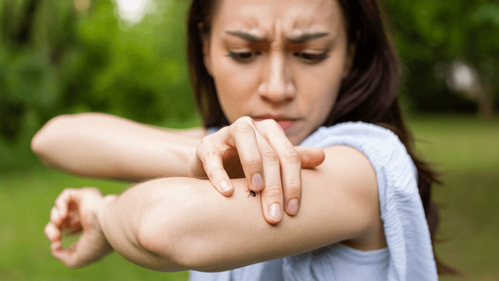 After the Bite: What to Do if You’re Bitten by a Tick