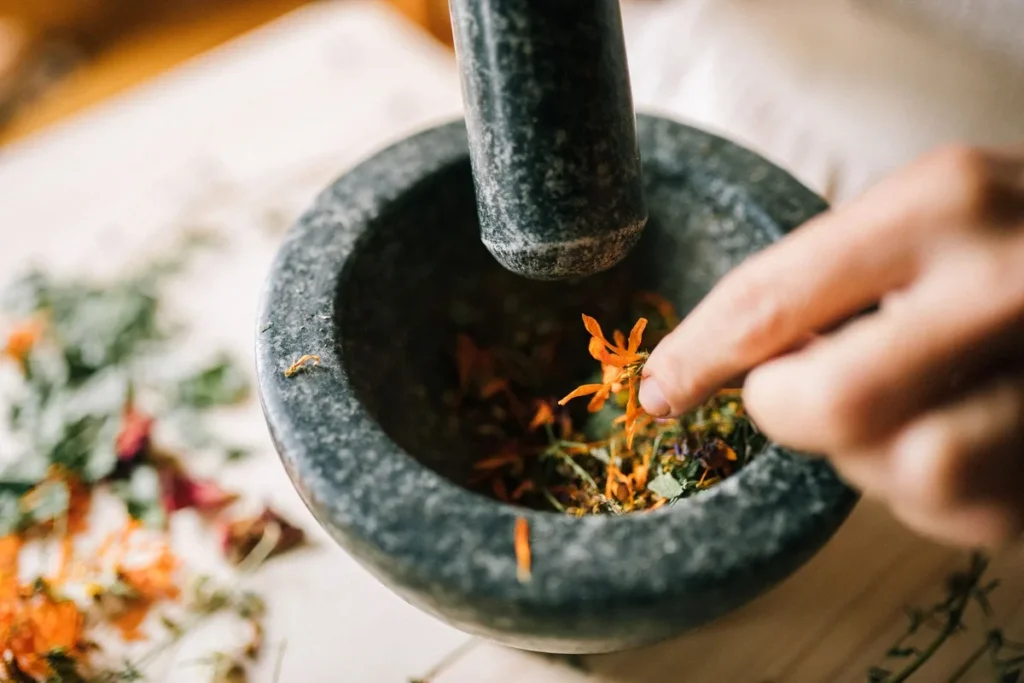 Mains récoltant des herbes médicinales dans un jardin ensoleillé avec carnets de notes