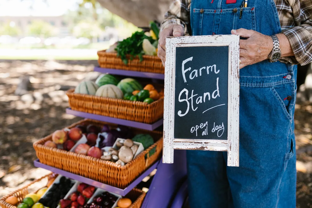 Mains choisissant des légumes frais sur un étal de marché bio, cagettes de produits frais en bois