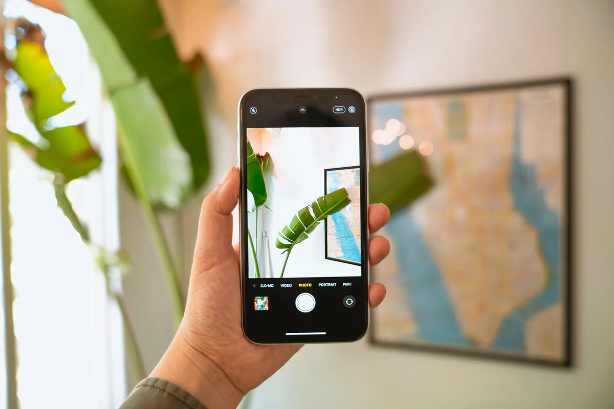 Application mobile de reconnaissance végétale utilisée pour identifier une plante à partir d'une photo