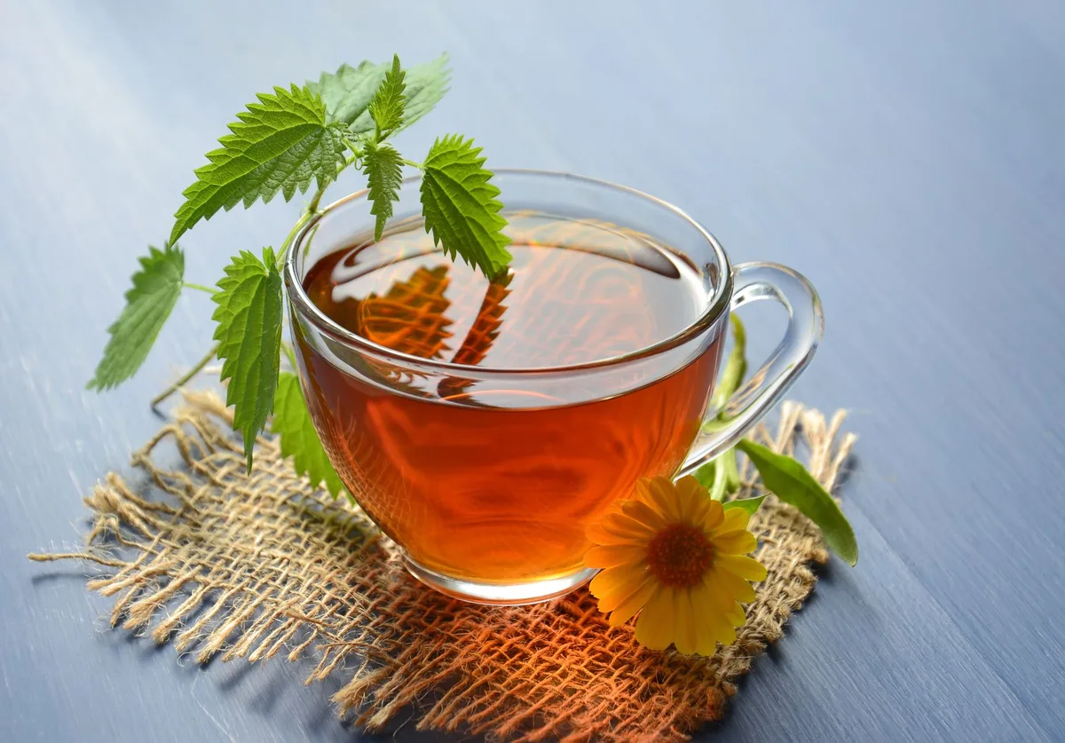 Préparation d'une infusion d'ortie dans un bocal en verre avec de l'eau chaude