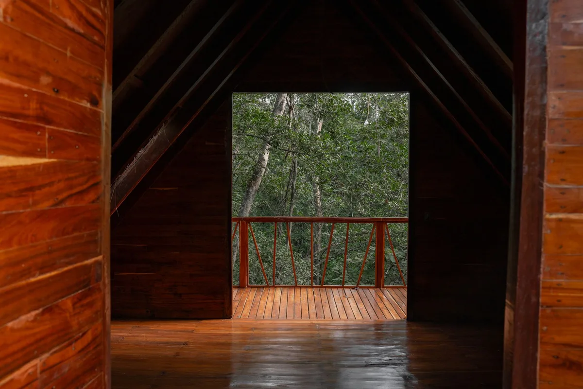 Petite cabane en bois nichée dans une forêt de pins, intégrée harmonieusement au paysage naturel