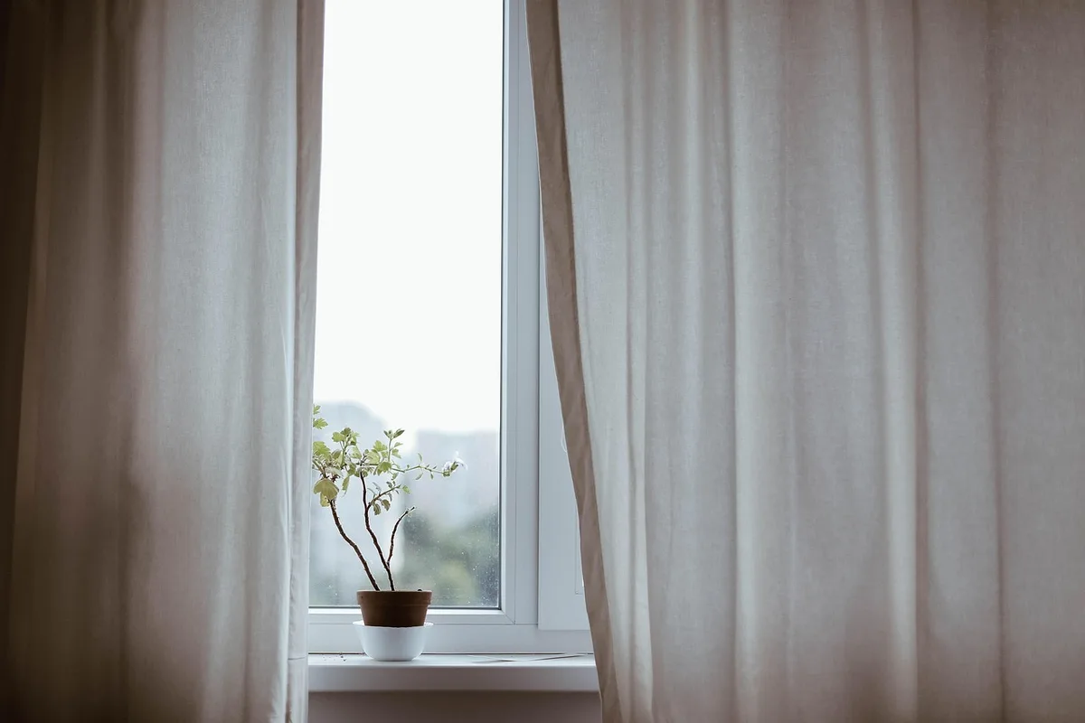 Intérieur avec plantes décoratives, branches et éléments naturels créant une ambiance apaisante