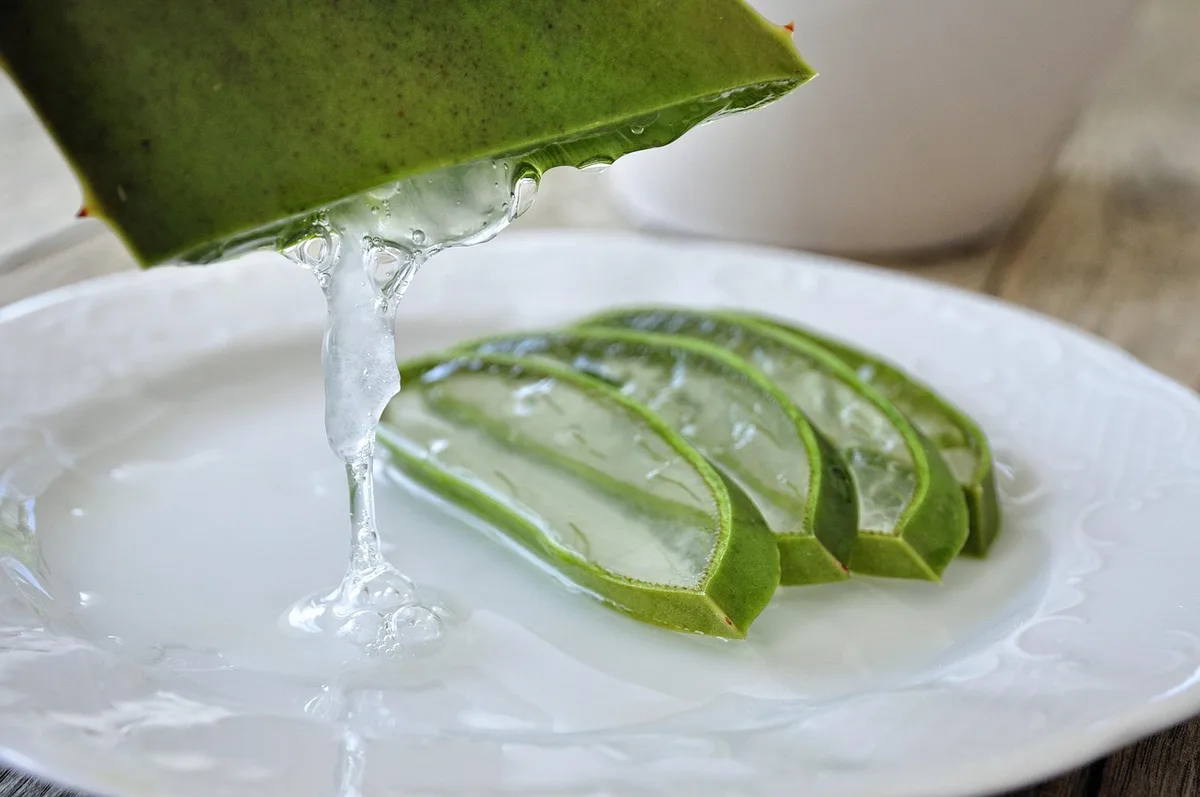 Ingrédients naturels d'un après-soleil : aloe vera, glycérine et huiles végétales