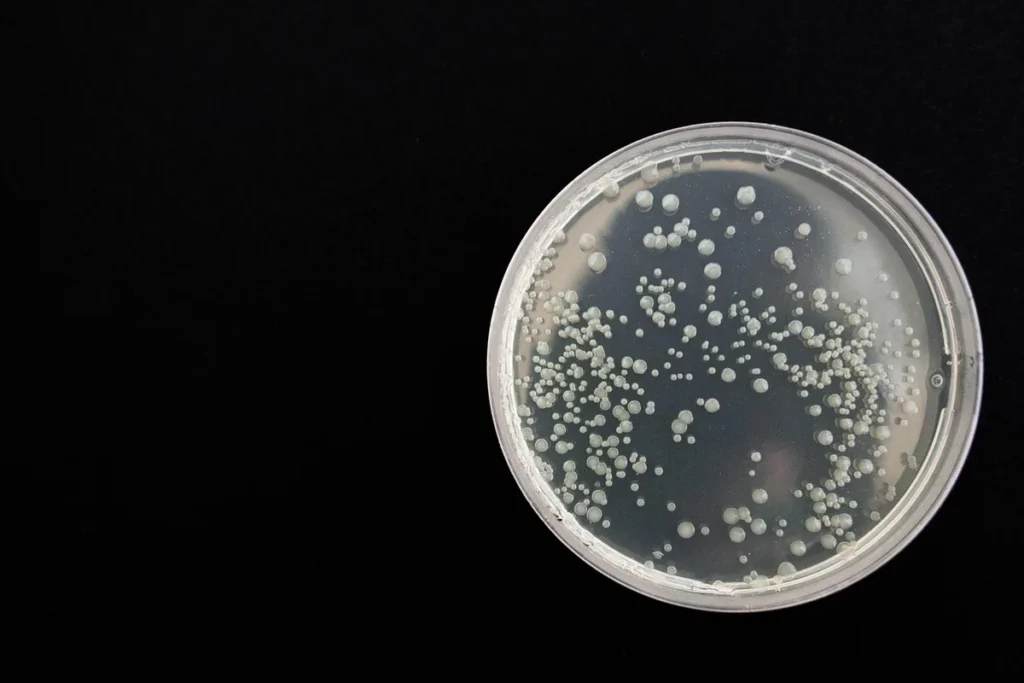 Laboratoire médico-légal : analyses d'ADN et documents d'autopsie sur un bureau clinique