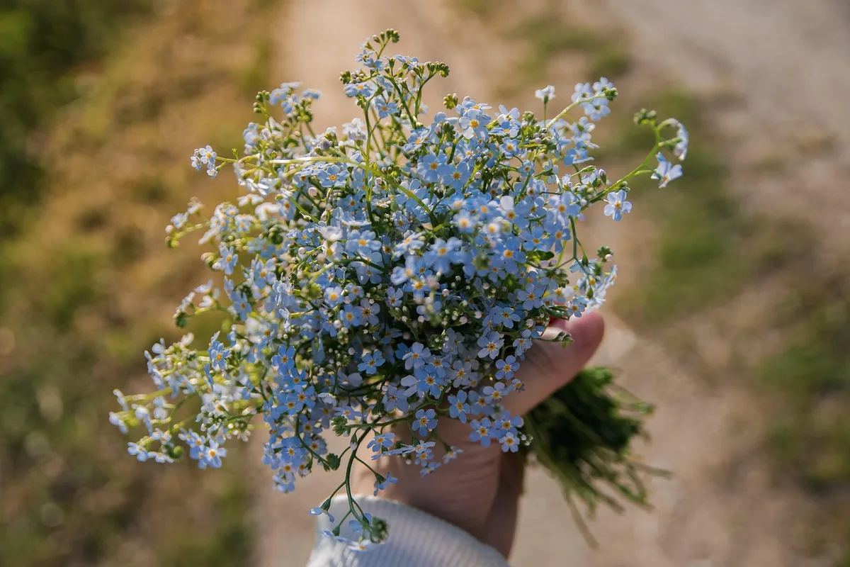 Mains ajustant un petit bouquet pastel pour un geste affectueux