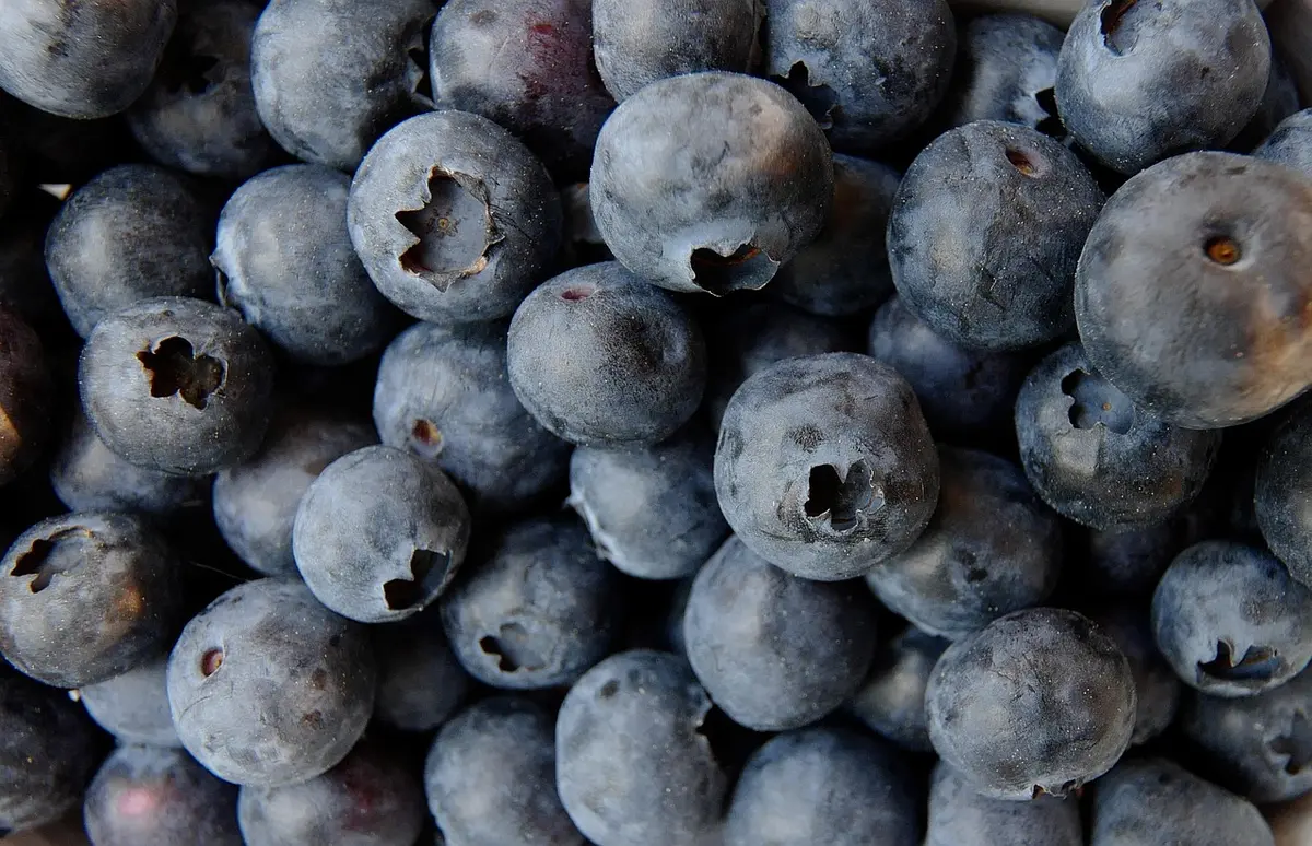 Gros plan d'une barquette prête à manger montrant l'étiquette avec lot et GTIN
