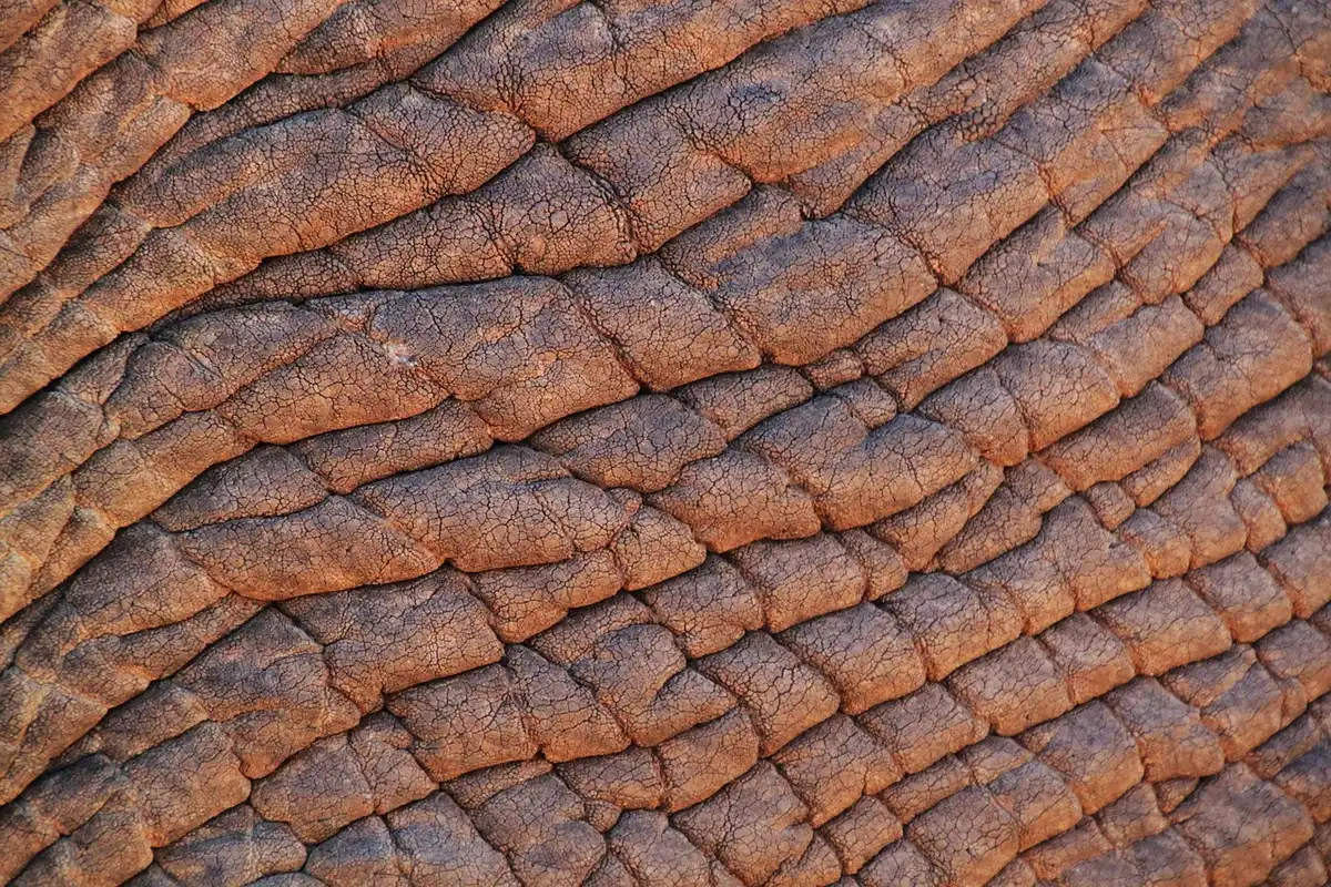 Texture microscopique d'une crème hydratante formant une barrière protectrice sur la peau