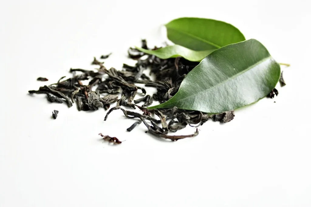 Tasse de tisane chaude près d'une fenêtre éclairée par la lumière du matin, avec des plantes fraîches à proximité