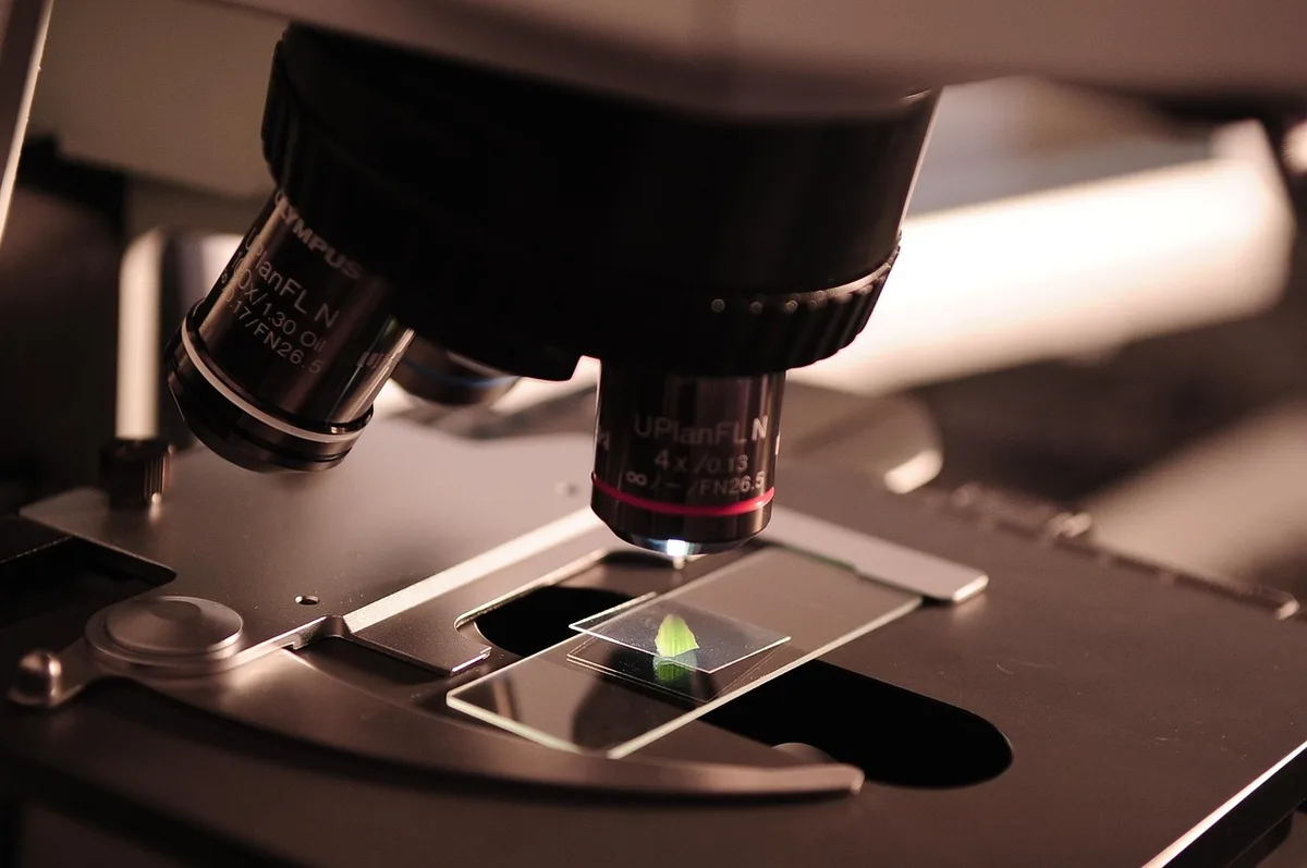 Techniciens en laboratoire analysant des échantillons d'ADN