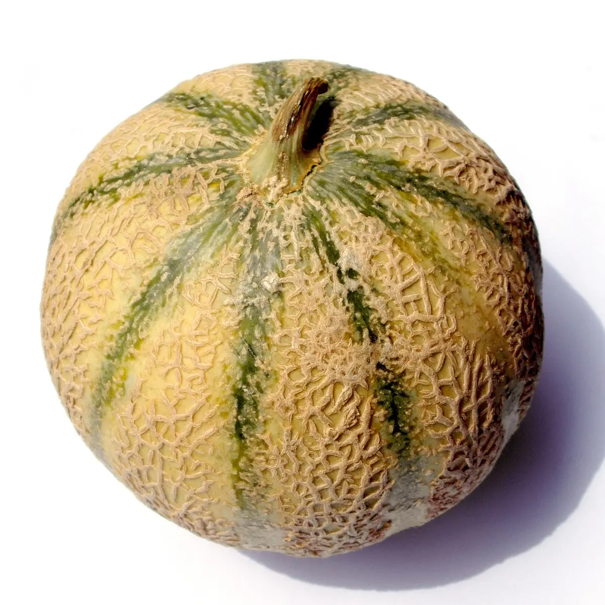 Melon Charentais avec étiquette en supermarché pour identification des lots