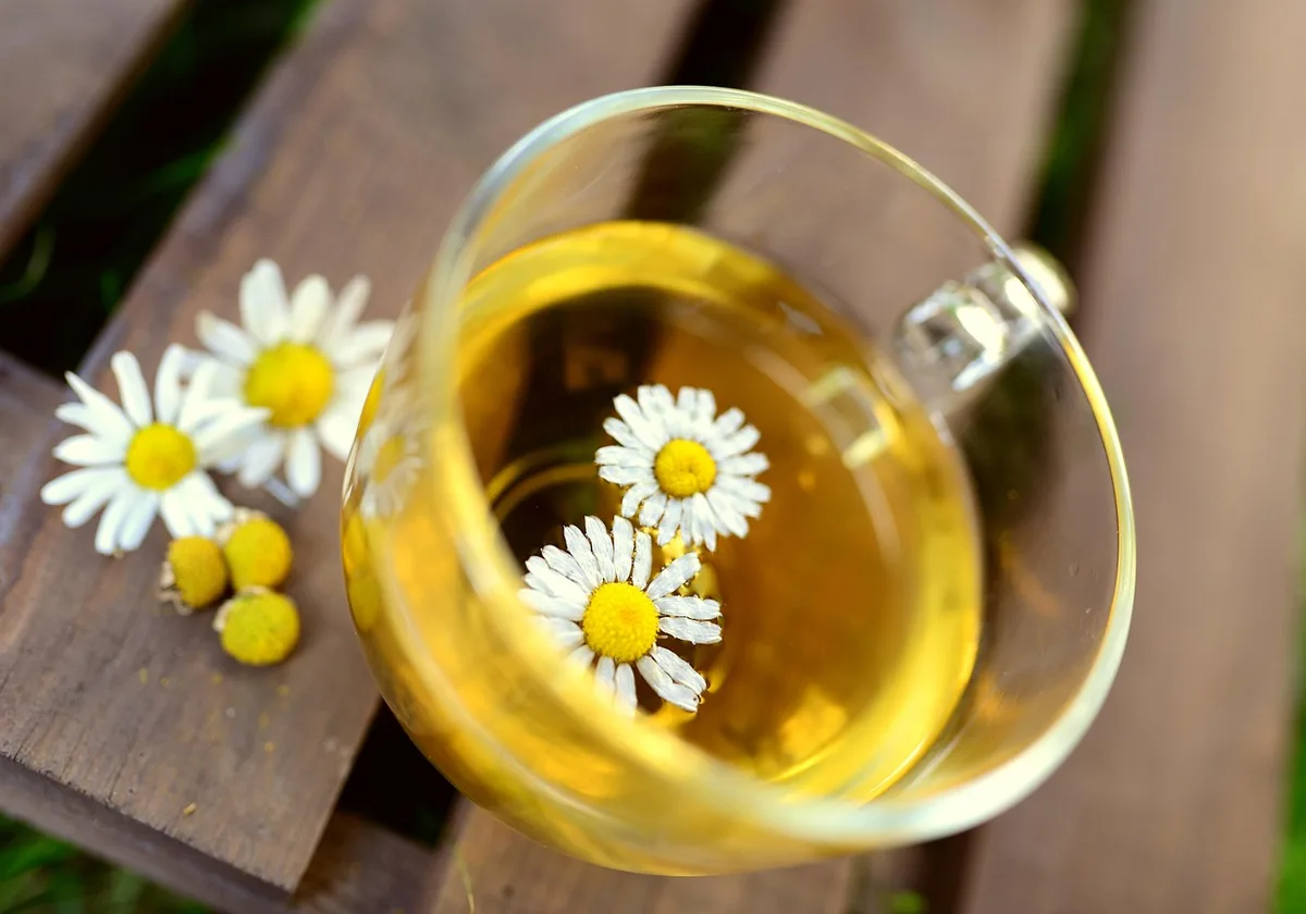Tasse de tisane de camomille avec fleurs séchées à côté
